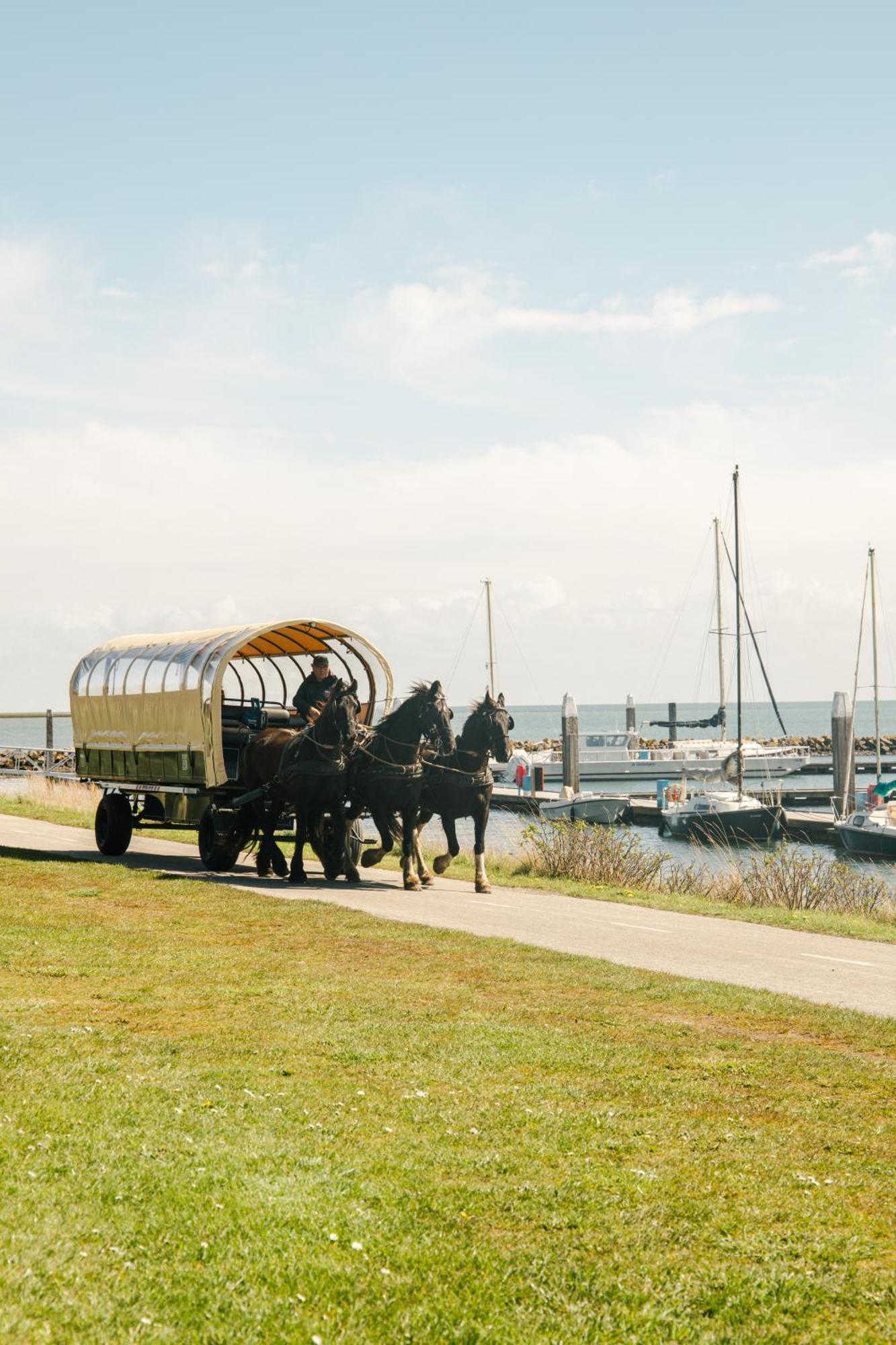 Westcord Schylge West-Terschelling